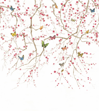 Daisy Bennett Mural - Butterfly Delight