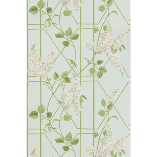 Botanical Botanica – Wisteria