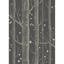 Wood_Stars_11053_CS_2