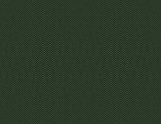 Tailor Made Collection- YM30201