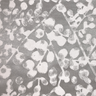 celadon-0004320_bethany-911
