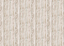 fantasia J42-7735-2026-03-09-115724-FILE_7735