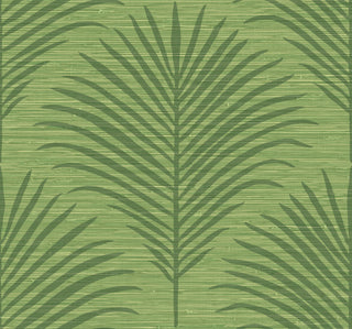 Grasslands - Marco