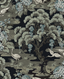 hanae-trees-CH30502_Onyx