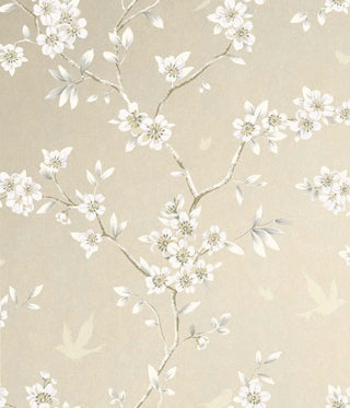 Close-up swatch of Crown's Chinoiserie collection wallpaper in the Hanami Trail pattern. Set against a clean, beige background, the minimal and elegant design features a delicate cherry blossom or plum blossom branch curling gracefully across the scene. The slender, light brown branch is dotted with tiny budding twigs and beautiful stylized blossoms featuring soft white petals and yellow centers. The sparse placement creates a classic, serene, and modern botanical aesthetic.