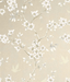 hanami-trail-CH30205-Sugar
