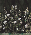 kaiyu-dogwood-mural-CH32000M-Carbon