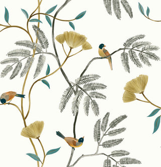 Close-up swatch of Crown's Chinoiserie collection wallpaper in the Kohana Branch pattern. Set against a textured, white background with a soft matte finish, the design features delicate botanical trails in pale silver-gray and gold. The branches are decorated with large, stylized fan-shaped blossoms in soft gold and rows of small, fern-like pinnate leaves in silver-white. Several small, detailed songbirds with blue heads and golden-brown feathers are perched throughout the branches.