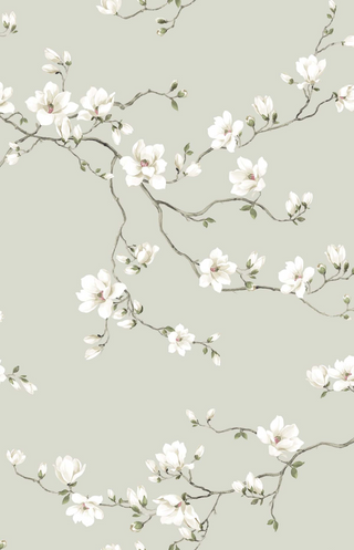 Moonlace Magnolia