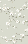 moonlace-magnolia-CH30108-Stardust
