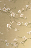 moonlace-magnolia-specialty-CH31405-Oro