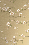 moonlace-magnolia-specialty-CH31405-Oro