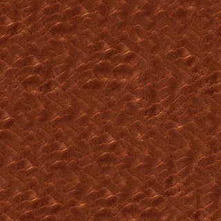 Kingdom- Prince
