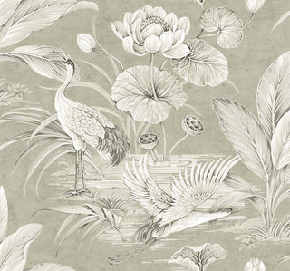 Close-up swatch of Crown's Chinoiserie collection wallpaper in the Tsuru Bird pattern. The detailed scenic design features a warm, grey background with a subtle, distressed plaster patina. Beautifully rendered in soft white and grey tones are elegant cranes or storks amidst a serene wetland; one stands tall with its beak open, while another glides in mid-flight over the water. Large blooming lotus flowers, rounded lily pads, seed pods, and lush tropical fronds complete the opulent landscape.