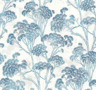 Close-up swatch of Crown's Chinoiserie collection wallpaper in the Yulin Trees pattern. The design features a textured, lwhite background with a soft, distressed stucco or plaster effect. Spreading across the canvas are elegant, sketchy tree trunks and branches in a blue. The trees are topped with dense, stylized clusters of fan-shaped pine needles or ginkgo-like leaves in gradient shades of charcoal gray, charcoal-black, and soft taupe, creating a modern, artistic botanical look.