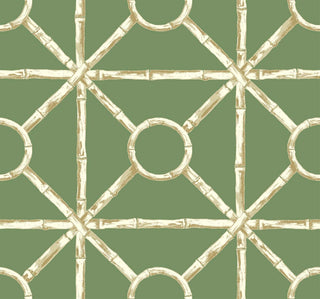 Crown's Chinoiserie collection wallpaper in the Zhen Bamboo pattern. The geometric, structured design features a solid green background overlaid with a realistic bamboo trellis pattern. The faux-bamboo stalks form an open diamond and square grid interconnected by circular bamboo rings at the center intersections. Rendered in muted tones of cream, and beige, , the stalks feature detailed nodes and texture, creating a classic, sophisticated Chinoiserie look.