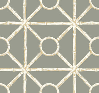 Crown's Chinoiserie collection wallpaper in the Zhen Bamboo pattern. The geometric, structured design features a solid grey background overlaid with a realistic bamboo trellis pattern. The faux-bamboo stalks form an open diamond and square grid interconnected by circular bamboo rings at the center intersections. Rendered in muted tones of cream, and beige, , the stalks feature detailed nodes and texture, creating a classic, sophisticated Chinoiserie look.